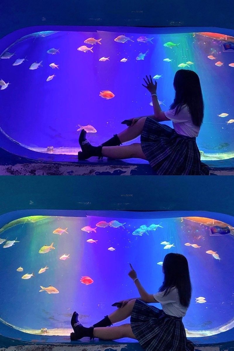 瀘定哪個(gè)水族館龍魚好？祥龍魚場(chǎng)龍魚（廣州龍魚祥龍魚場(chǎng)在瀘定有哪些龍魚品種和專業(yè)的養(yǎng)殖技術(shù)）
