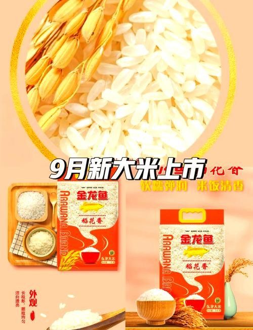 金龍魚生態(tài)稻5kg有哪些型號(hào)可選（金龍魚生態(tài)稻5kg型號(hào)介紹）
