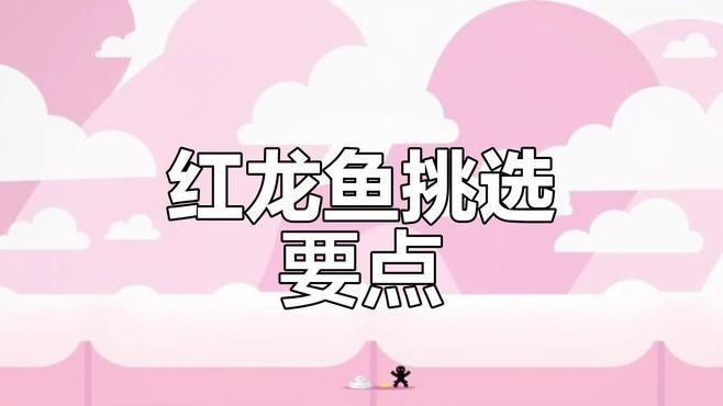 如何判斷龍魚尾巴損傷程度 如何判斷龍魚尾巴損傷程度 龍魚百科 第2張