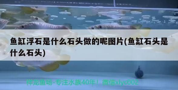 魚缸浮石是什么石頭做的呢圖片(魚缸石頭是什么石頭)（魚缸浮石是什么石頭是什么石頭做的呢，火山石對羅漢魚的作用）