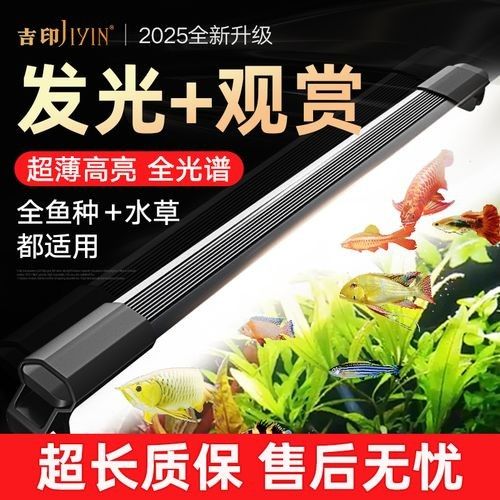 吉印刀鋒S系列有哪些顏色可選(吉印刀鋒s系列哪個型號性價比最高吉印刀鋒s系列哪個顏色最受歡迎) 龍魚百科 第1張 吉印刀鋒S系列有哪些顏色可選(吉印刀鋒s系列哪個型號性價比最高吉印刀鋒s系列哪個顏色最受歡迎) 吉印刀鋒S系列有哪些顏色可選(吉印刀鋒s系列哪個型號性價比最高吉印刀鋒s系列哪個顏色最受歡迎) 龍魚百科 第1張