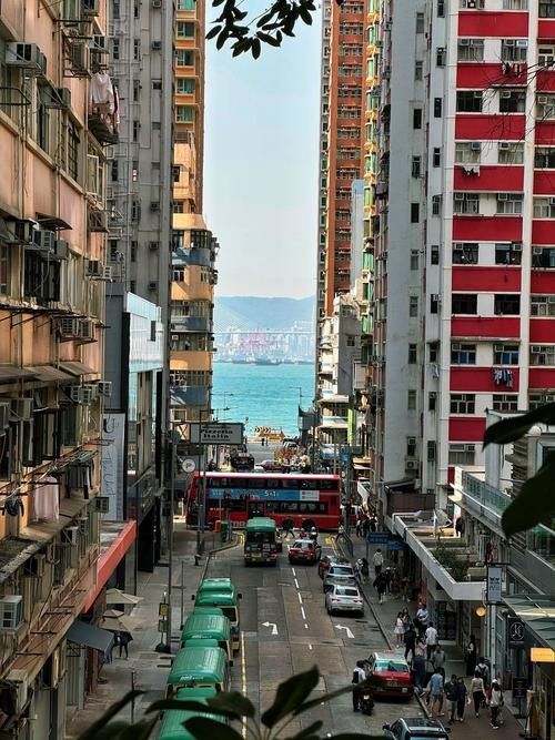 香港龍魚門圖片欣賞（香港鯉魚門游玩攻略） 香港龍魚門圖片欣賞（香港鯉魚門游玩攻略） 龍魚百科 第3張