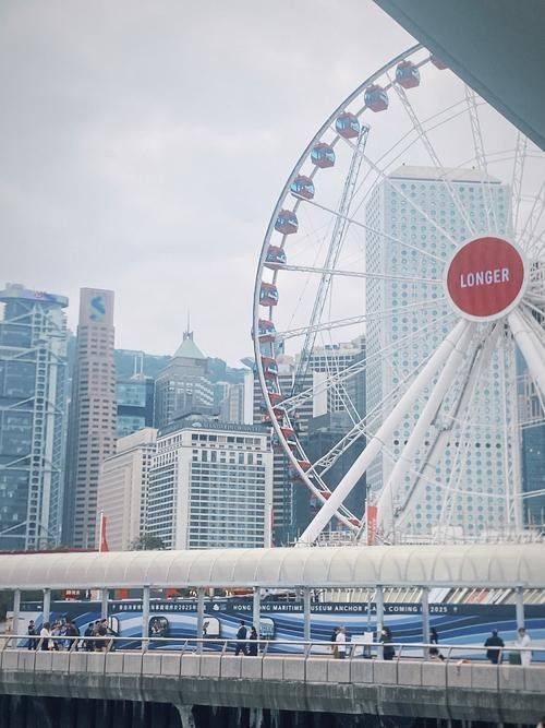 香港龍魚門圖片欣賞（香港鯉魚門游玩攻略） 香港龍魚門圖片欣賞（香港鯉魚門游玩攻略） 龍魚百科 第13張