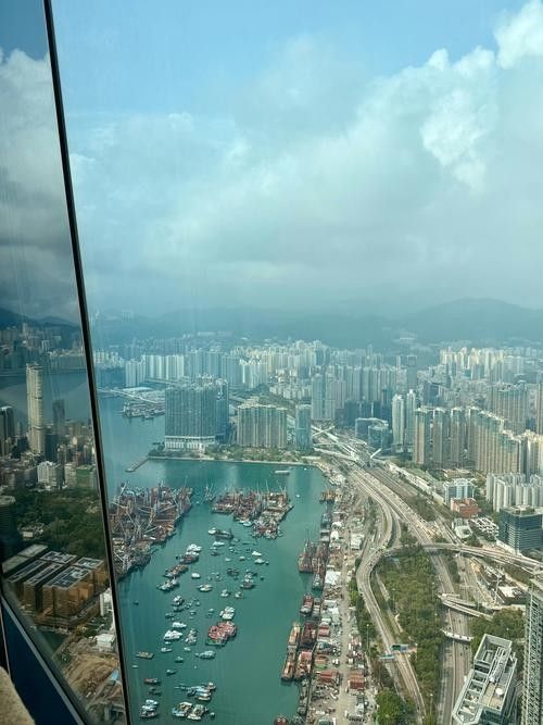 香港龍魚門圖片欣賞（香港鯉魚門游玩攻略） 香港龍魚門圖片欣賞（香港鯉魚門游玩攻略） 龍魚百科 第7張