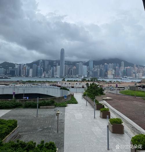 香港龍魚門圖片欣賞（香港鯉魚門游玩攻略） 香港龍魚門圖片欣賞（香港鯉魚門游玩攻略） 龍魚百科 第12張