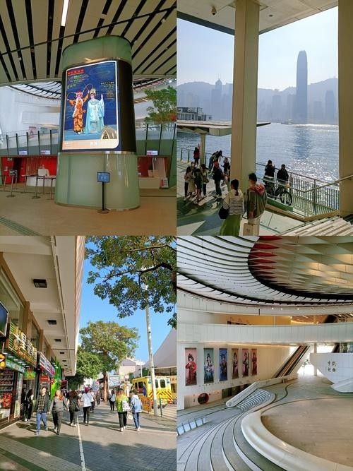 香港龍魚門圖片欣賞（香港鯉魚門游玩攻略） 香港龍魚門圖片欣賞（香港鯉魚門游玩攻略） 龍魚百科 第6張