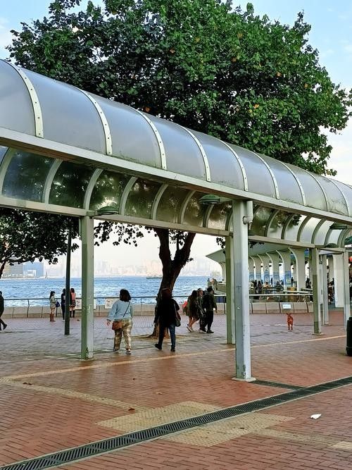 香港龍魚門圖片欣賞（香港鯉魚門游玩攻略） 香港龍魚門圖片欣賞（香港鯉魚門游玩攻略） 龍魚百科 第17張