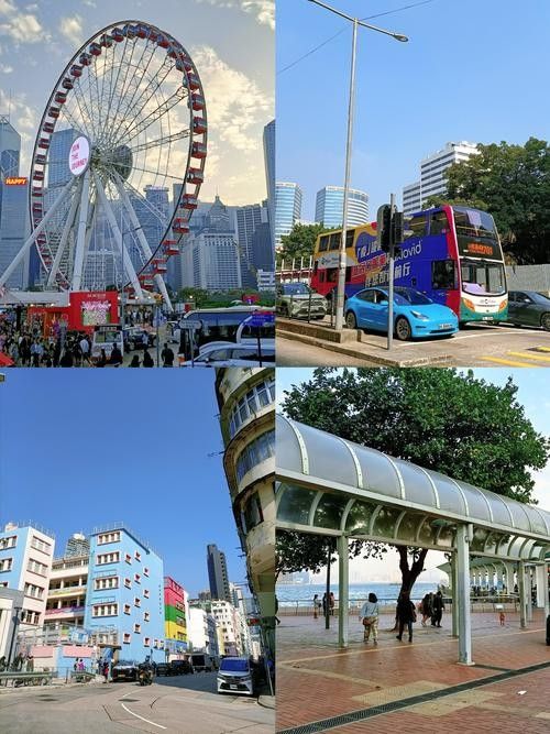 香港龍魚門圖片欣賞（香港鯉魚門游玩攻略） 香港龍魚門圖片欣賞（香港鯉魚門游玩攻略） 龍魚百科 第20張