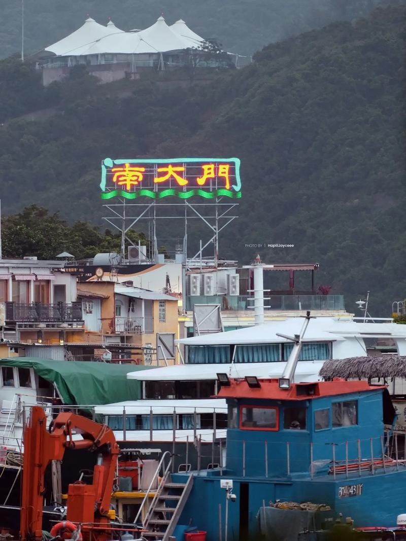 香港龍魚門圖片欣賞（香港鯉魚門游玩攻略） 香港龍魚門圖片欣賞（香港鯉魚門游玩攻略） 龍魚百科 第22張