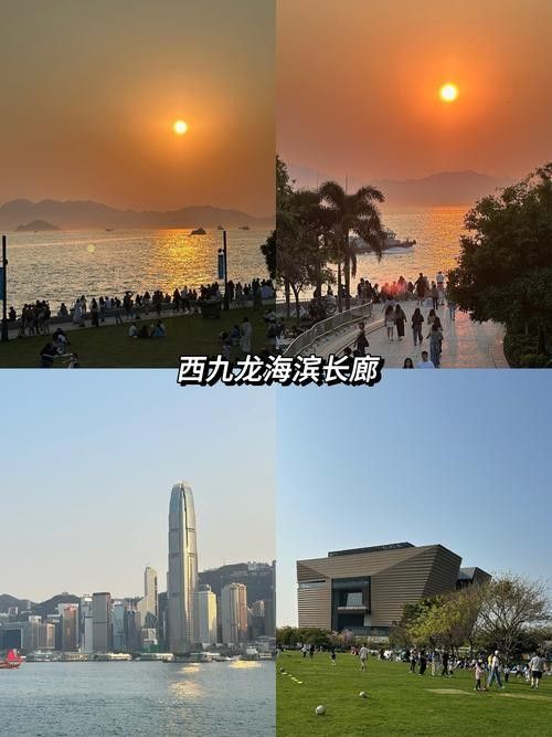 香港龍魚門圖片欣賞（香港鯉魚門游玩攻略） 香港龍魚門圖片欣賞（香港鯉魚門游玩攻略） 龍魚百科 第19張