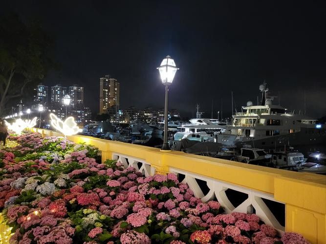 香港龍魚門圖片欣賞（香港鯉魚門游玩攻略） 香港龍魚門圖片欣賞（香港鯉魚門游玩攻略） 龍魚百科 第23張