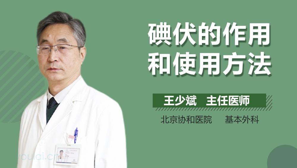龍魚配幾條飛鳳魚最好？，龍魚怎么混養才會成功？ 龍魚配幾條飛鳳魚最好？，龍魚怎么混養才會成功？ 觀賞魚百科 第2張