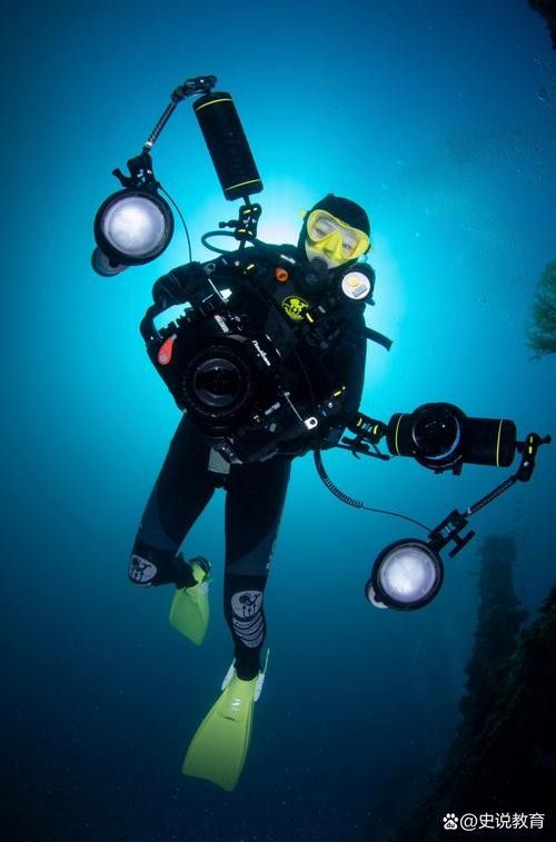 給我推薦一些適合拍攝小龍魚的背景板