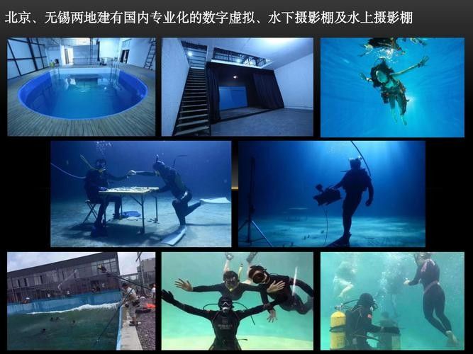 給我推薦一些適合拍攝小龍魚的背景板