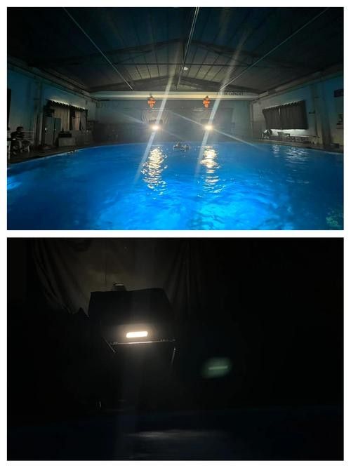 給我推薦一些適合拍攝小龍魚的背景板