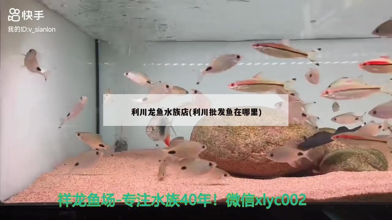 <strong><mark>利川</mark></strong>龍魚(yú)水族店(<strong><mark>利川</mark></strong>批發(fā)魚(yú)在哪里)