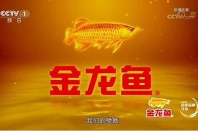 雷龍魚是冷水魚還是熱水（雷龍魚是冷水魚嗎）