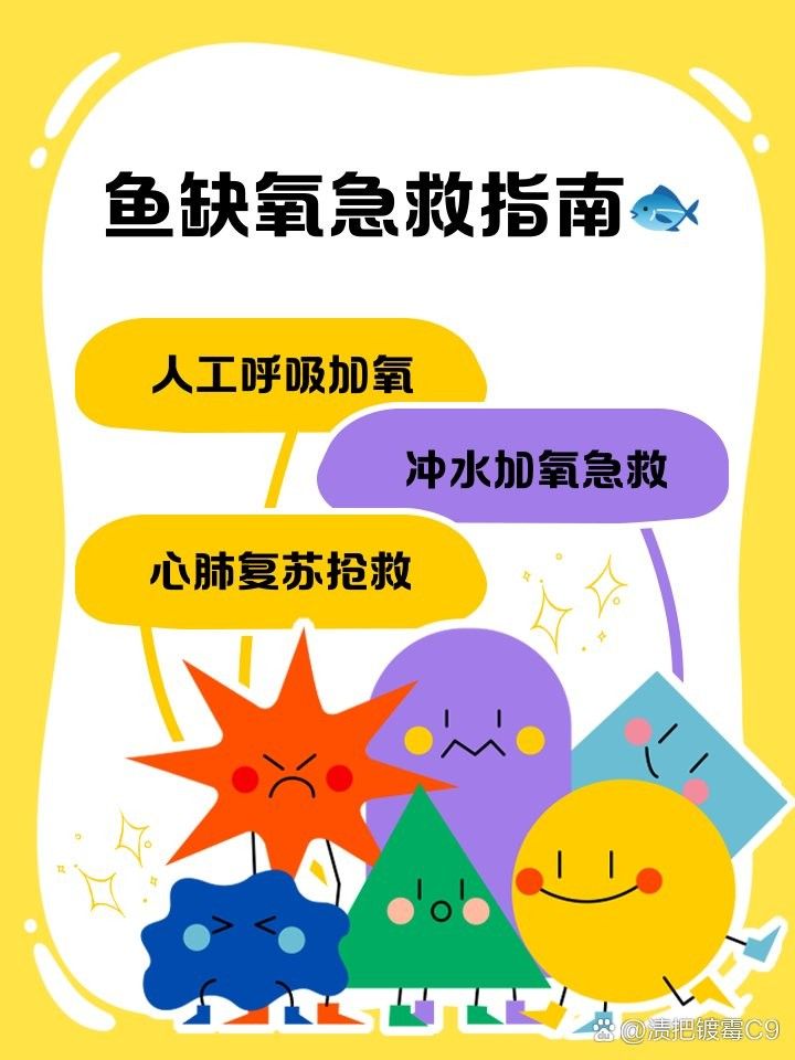 紅龍魚缺氧后如何急救 紅龍魚缺氧后如何急救 龍魚百科 第2張