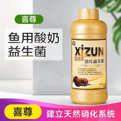 龍魚益生菌酸奶可以天天喂嗎? 龍魚百科 第1張 龍魚益生菌酸奶可以天天喂嗎? 龍魚益生菌酸奶可以天天喂嗎? 龍魚百科 第1張