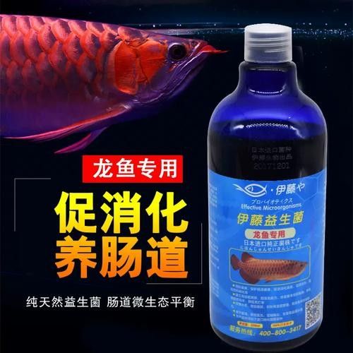龍魚益生菌酸奶可以天天喂嗎? 龍魚百科 第6張 龍魚益生菌酸奶可以天天喂嗎? 龍魚益生菌酸奶可以天天喂嗎? 龍魚百科 第6張