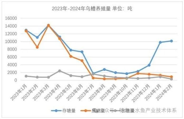 黑魚價格未來走勢如何？（黑魚價格季節性波動大嗎2026年黑魚價格走勢預測）