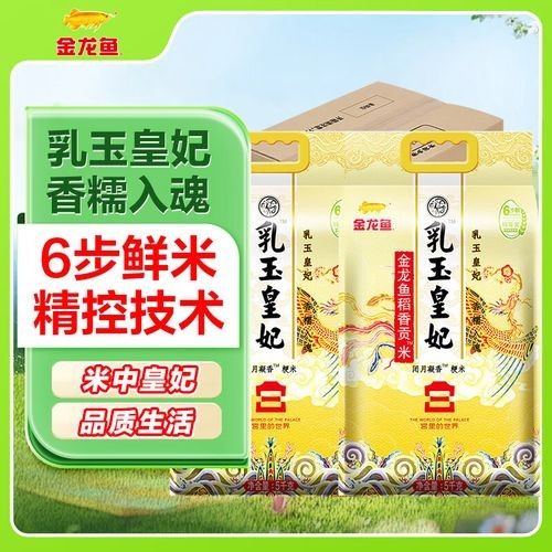 金龍魚哪個系列最受歡迎？（金龍魚“金龍魚”系列口碑及專業評測：05:31金龍魚）
