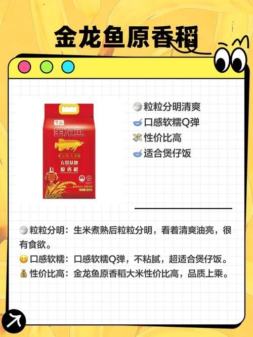 金龍魚哪個系列最受歡迎？（金龍魚“金龍魚”系列口碑及專業評測：05:31金龍魚）