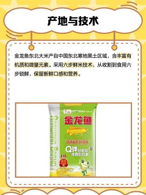 金龍魚哪個系列最受歡迎？（金龍魚“金龍魚”系列口碑及專業評測：05:31金龍魚）