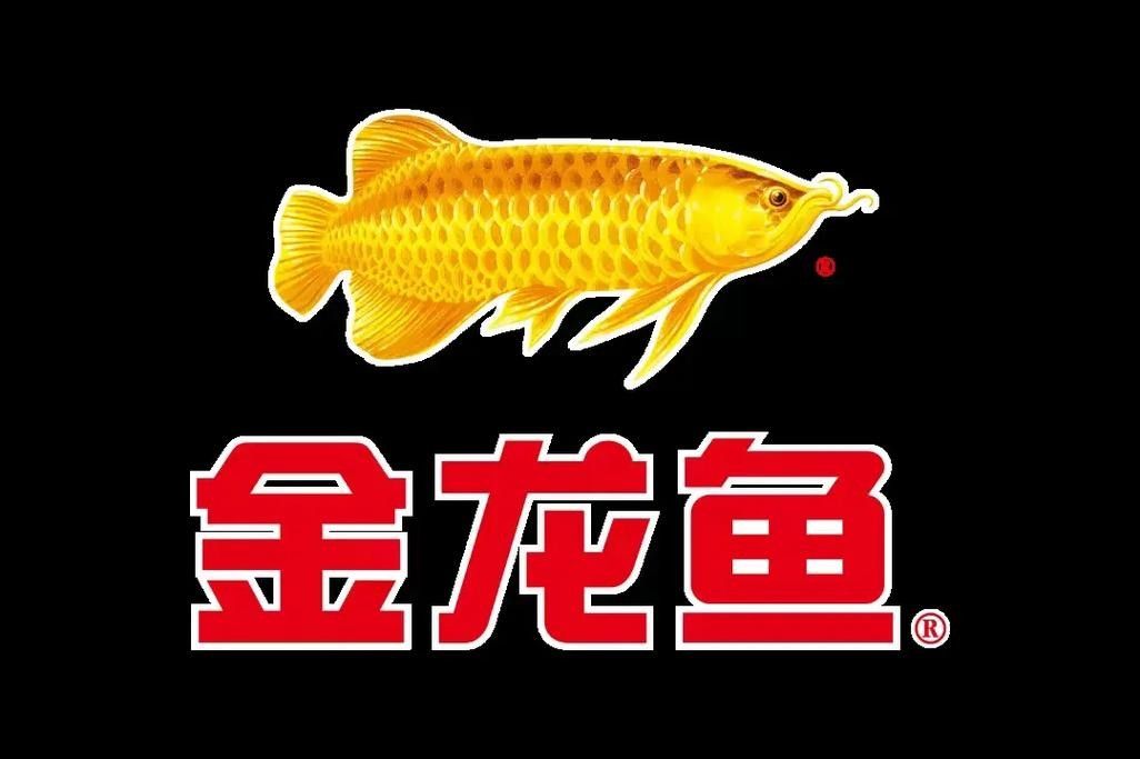 金龍魚高端產品在哪里可以購買