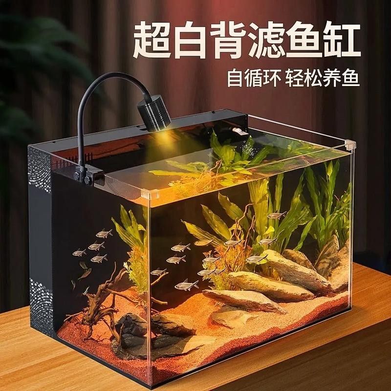 60×30魚缸適合養什么魚 60×30魚缸適合養什么魚 龍魚百科 第4張