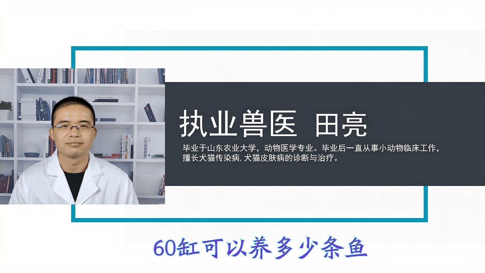 60×30魚缸適合養什么魚 60×30魚缸適合養什么魚 龍魚百科 第8張