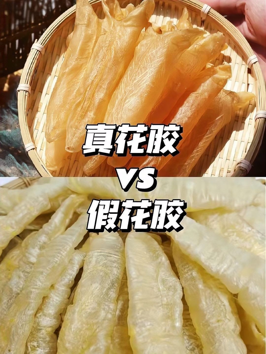 如何辨別真假大金龍魚膠 如何辨別真假大金龍魚膠 龍魚百科 第2張