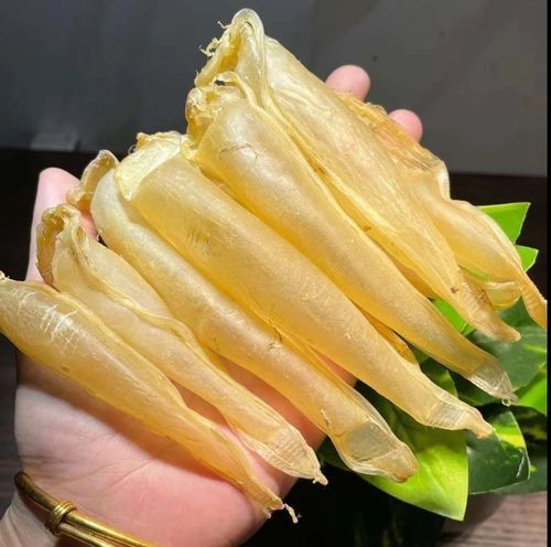 大金龍魚膠的產地在哪里（大金龍魚膠是什么膠）