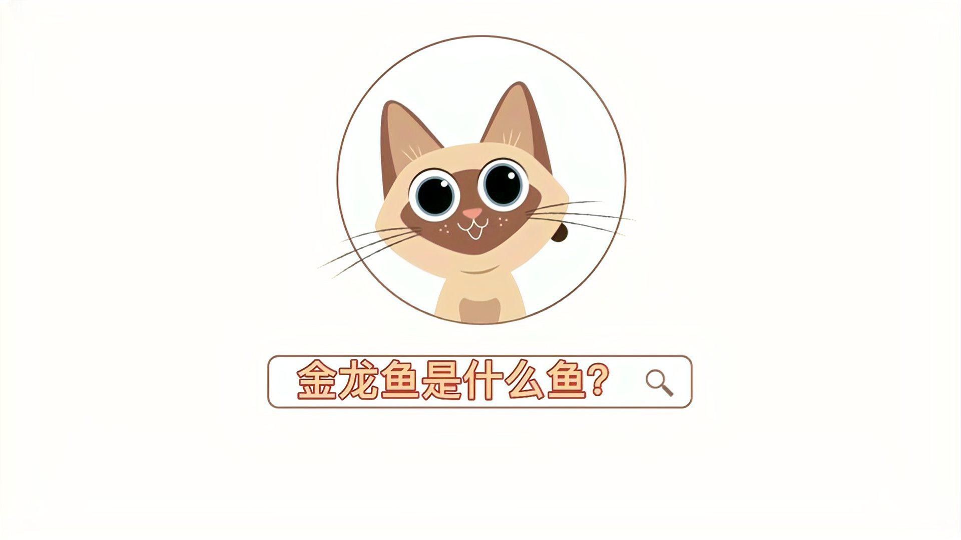 福貢金龍魚（福貢金龍魚是什么魚） 福貢金龍魚（福貢金龍魚是什么魚） 觀賞魚百科 第7張