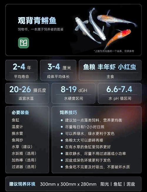 哪種魚更適合新手飼養(yǎng)？（新手養(yǎng)魚必看，這5種“懶人魚”超好養(yǎng)） 哪種魚更適合新手飼養(yǎng)？（新手養(yǎng)魚必看，這5種“懶人魚”超好養(yǎng)） 龍魚百科 第4張