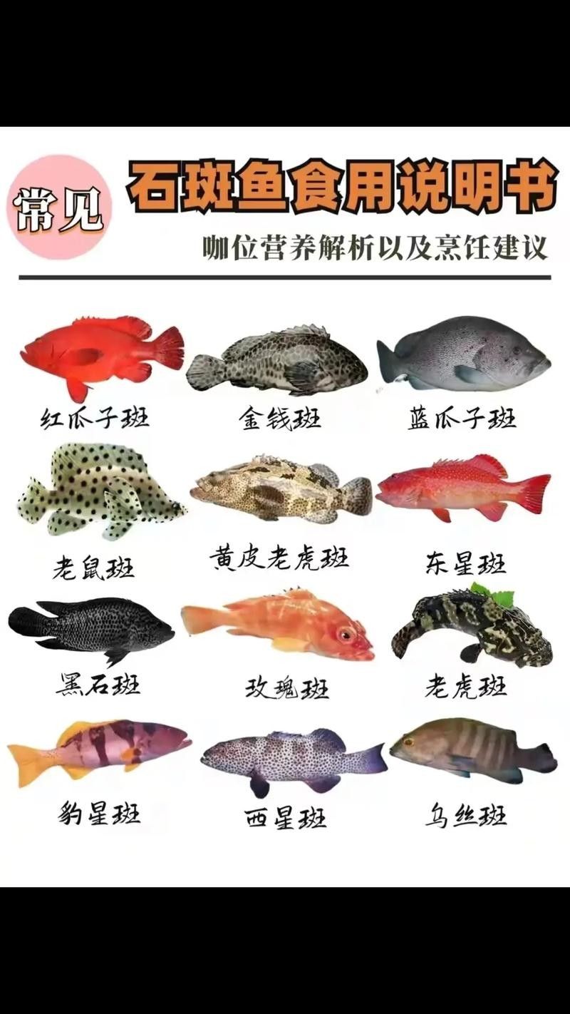 各種斑魚的圖片