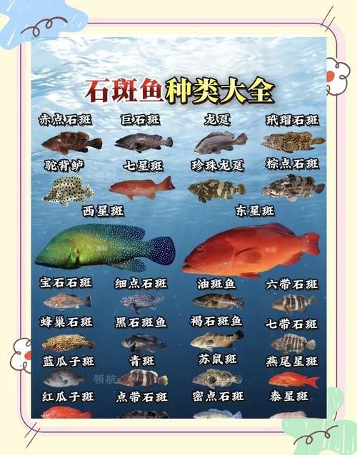 各種斑魚的圖片