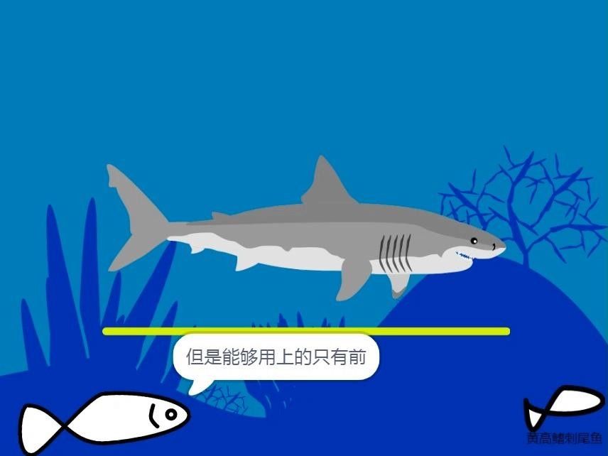 大白鯊魚視頻（動物世界紀錄片《大白鯊魚視頻，海洋捕食者》全民小視頻）