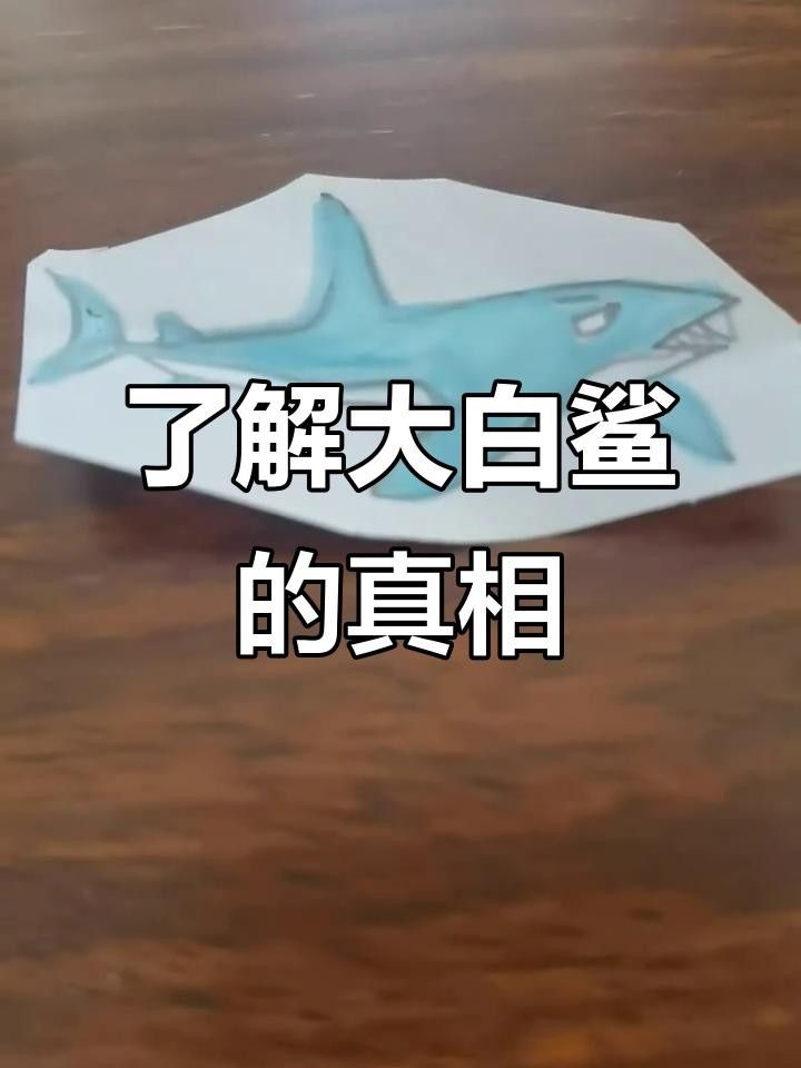 大白鯊魚視頻（動物世界紀錄片《大白鯊魚視頻，海洋捕食者》全民小視頻）