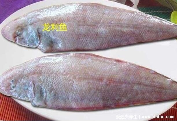 龍魚(yú)鱗片白膜病怎么辦，如何去除龍魚(yú)鱗片上的白膜
