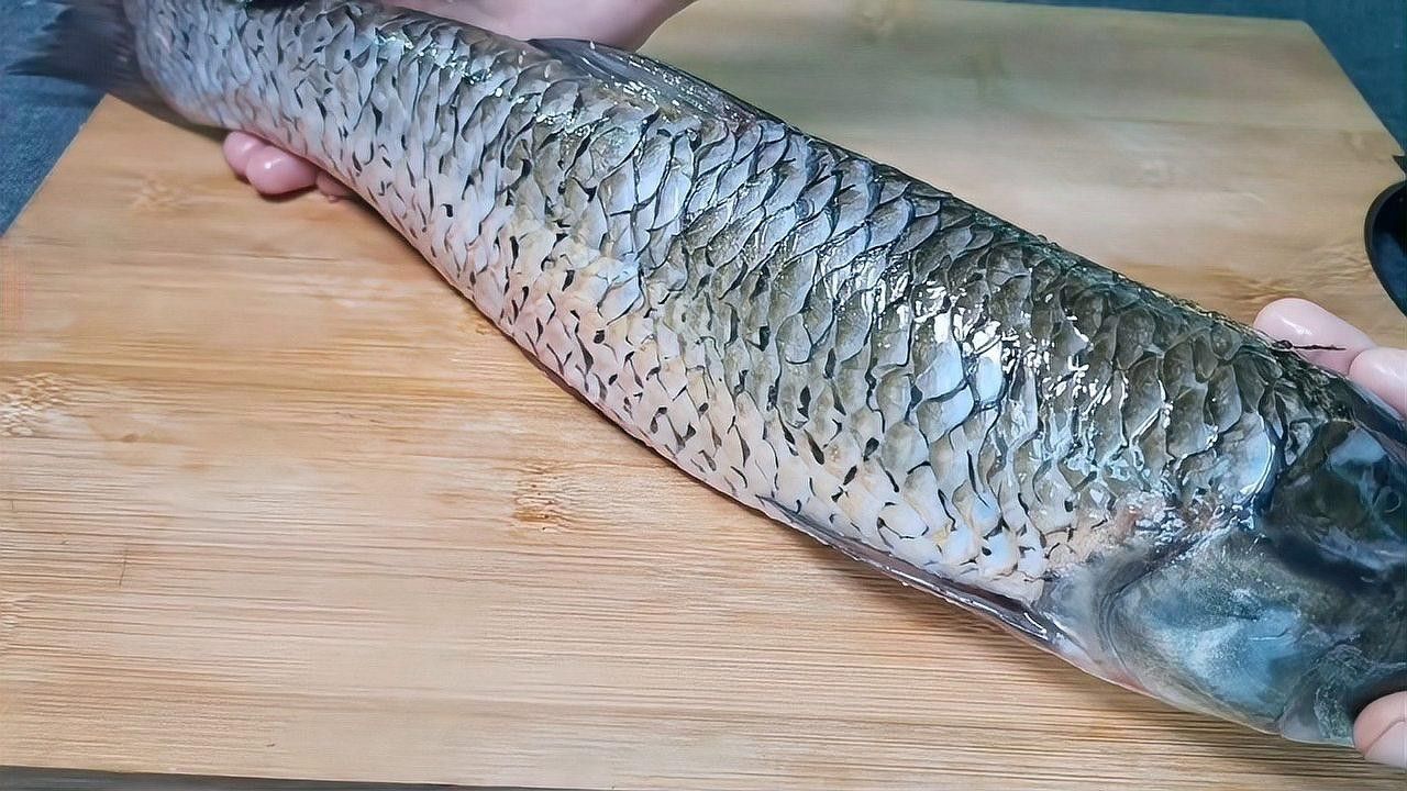 如何延長水龍魚的保鮮時間？ 如何延長水龍魚的保鮮時間？ 龍魚百科 第1張