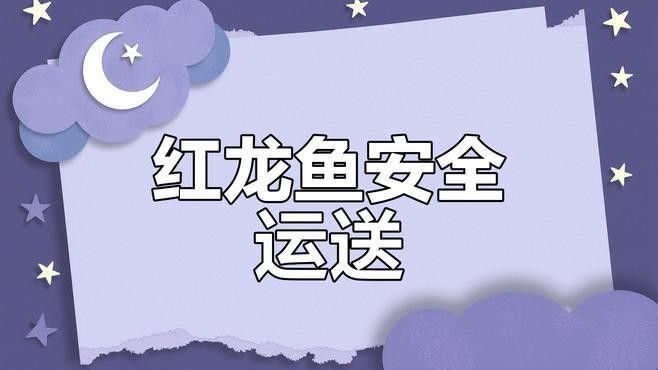 龍魚打包后多久會死亡？（龍魚打包后多久會死亡）