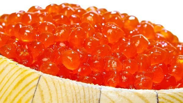 龍魚燉多久才會熟 龍魚燉多久才會熟 龍魚百科 第8張