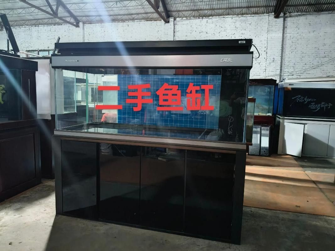 哪里可以買到彩蝶1.2米魚缸？（北京彩蝶1.2米魚缸專業水族箱購物平臺推薦）