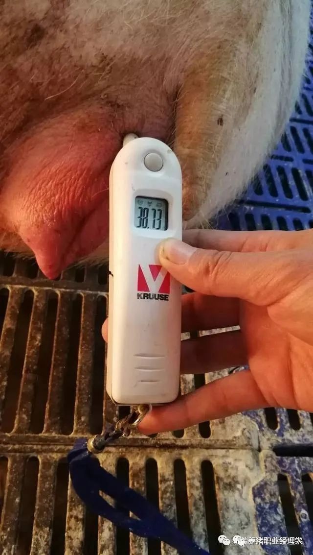 混養時如何設置隔離物？ 混養時如何設置隔離物？ 龍魚百科 第2張