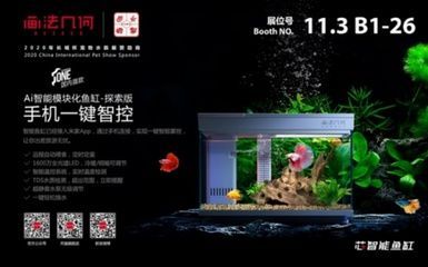 金龍魚眼睛明亮的養護技巧（關于金龍魚的問題）