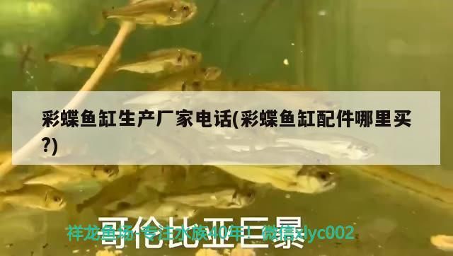 彩蝶魚缸生產(chǎn)廠家電話(彩蝶魚缸配件哪里買?)
