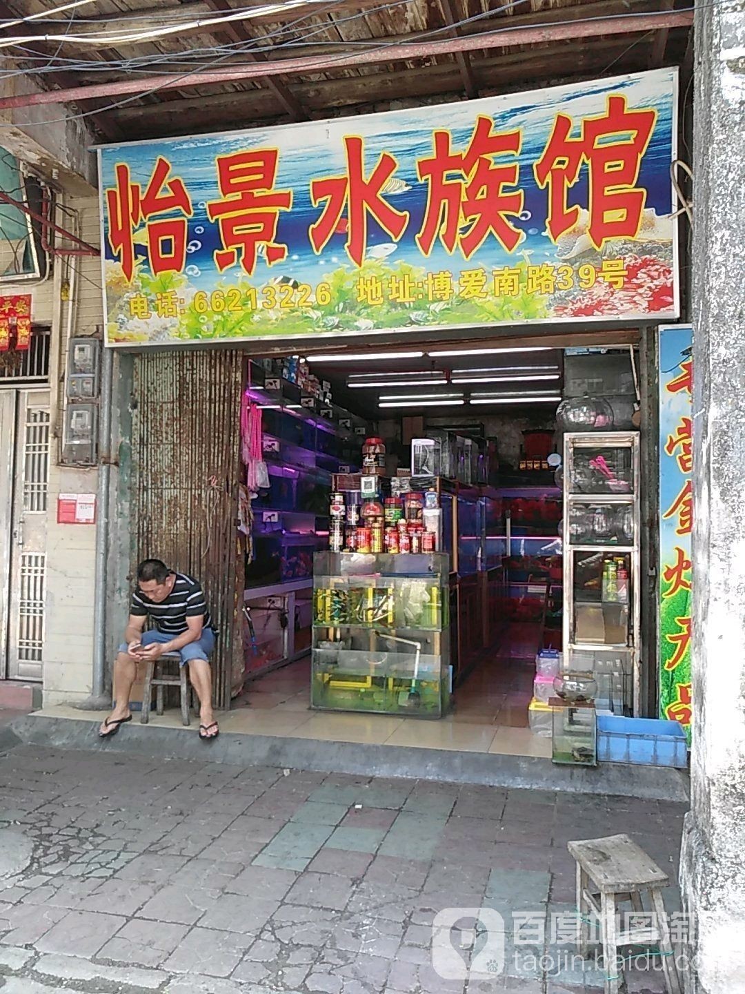 博愛哪個水族館龍魚好？祥龍魚場龍魚（博愛水族館和祥龍魚場各有千秋）