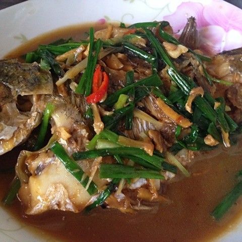 金龍魚(yú)的最佳烹飪時(shí)間 金龍魚(yú)的最佳烹飪時(shí)間 龍魚(yú)百科 第3張