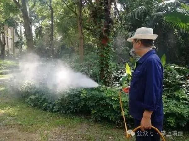 如何安全地使用驅蟲劑（如何安全地使用驅蟲劑在現代生活中使用驅蟲劑的注意事項） 如何安全地使用驅蟲劑（如何安全地使用驅蟲劑在現代生活中使用驅蟲劑的注意事項） 龍魚百科 第4張